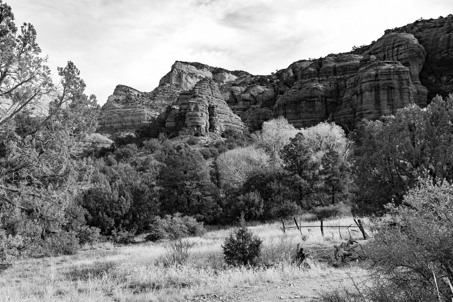 ROAD TRIP — Lisa Cutler/Photography